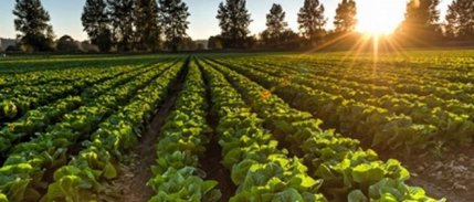 2019'da tarıma 16,1 milyar liralık destek verilecek