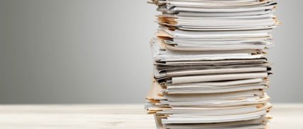 2021'de fiyatı en fazla artan ürün kağıt, en fazla düşen sarımsak oldu