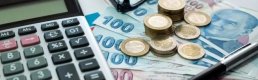 2022'de yatırımcıları enflasyona karşı sadece konut ve borsa korudu