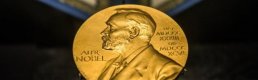 2024 Nobel Tıp Ödülü'nün kazananları belli oldu