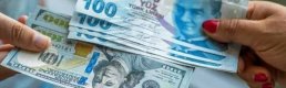 2025 yılında TL'de mi kalmalı, dövize mi geçmeli?: BBVA stratejisti yanıtladı