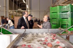 25 ülkeye ihracat yapan Saraylım Tarım için konkordato masası kuruldu