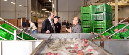 25 ülkeye ihracat yapan Saraylım Tarım için konkordato masası kuruldu