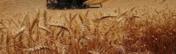 320 milyon liralık hibe paketi üreticiye sunuluyor