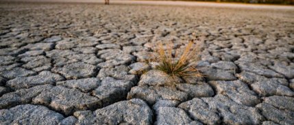 5 yılda su kaynaklarında yüzde 20 azalma bekleniyor