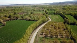 6 soruda 2B arazilerinin tapulaştırma süreci