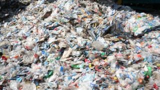 AB, bazı tek kullanımlık plastik ambalajları yasaklıyor