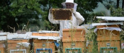 AB'den coğrafi işaret tescili alan ürün sayısı 43'e çıktı