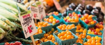 AB, gıda ve enerji fiyatlarının daha da artmasını öngörüyor