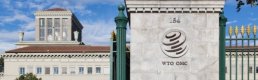 AB ve WTO e-ticaret yaptırımları üzerinde görüşmelere başladı