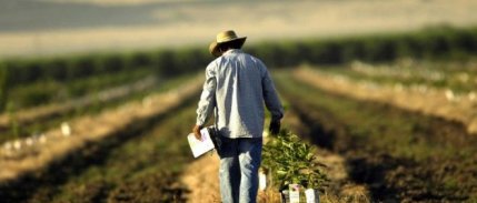 ABD çiftçileri, Çin ile antlaşma yapılmasını istiyor