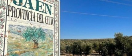 ABD seçimleri zeytinyağı pazarını da etkileyecek
