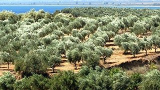 Akdeniz Havzasının Ekonomik Durumu Masaya Yatırıldı