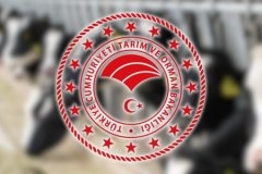 Aksaray'da şap alarmı: 9 köy karantinaya alındı