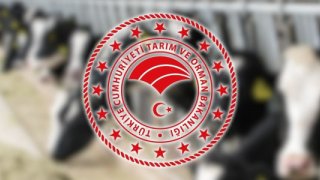 Aksaray'da şap alarmı: 9 köy karantinaya alındı