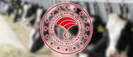 Aksaray'da şap alarmı: 9 köy karantinaya alındı