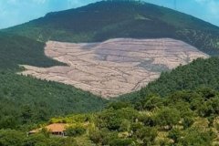 Alamos Gold, Çanakkale'deki altın madenlerini TÜMAD’a sattı