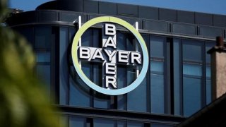 Alman ilaç şirketi Bayer, iş gücünü önemli ölçüde azaltmaya hazırlanıyor