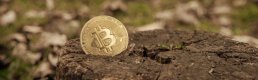Analistler Bitcoin’in 10 bin dolara düşeceği söylentilerine katılmıyor