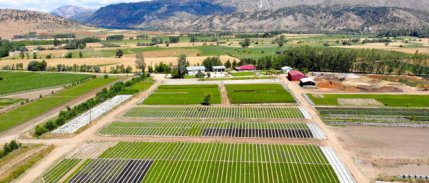 Ankara ve Eskişehir'deki bazı arazilerde toplulaştırma yapılacak
