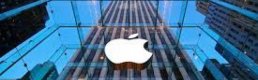 Apple/Cook: Kodlama eğitimi üniversite öncesi zorunlu olmalı