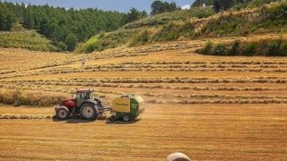 Avrupa Birliği, nadas kurallarına muafiyet getirdi