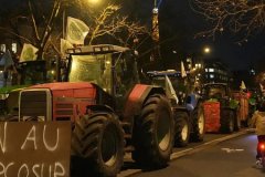 Avrupa Parlamentosu, MERCOSUR ticaret anlaşmasını yargıya taşıyor