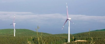 BAE'nin ilk yatırımından sonuç çıkmadı