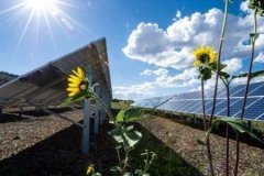 Bakan Bayraktar: 2026, yenilenebilir enerjide 