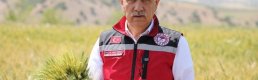 Bakan Kirişci, buğday rekolte beklentisini açıkladı