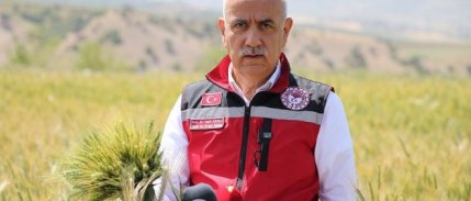 Bakan Kirişci, buğday rekolte beklentisini açıkladı