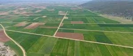 Bakan yanıtladı: Yabancılara ne kadar arazi satıldı?