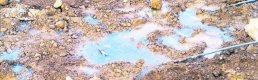 Balıkesir'deki iki altın madeni için ihale düzenlenecek