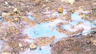 Balıkesir'deki iki altın madeni için ihale düzenlenecek