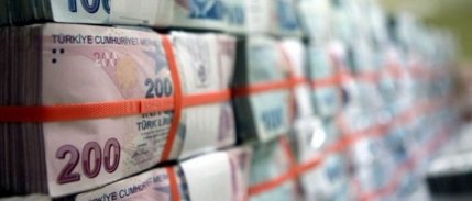 Bankaların döviz varlıkları 6 ayda %5,5 arttı