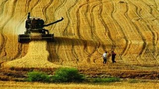 Bazı tarım ürünlerinde sıfır gümrük vergisi uygulaması kaldırıldı 