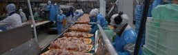 BESDBİR: Türkiye’de beyaz et fiyatları Avrupa ve ABD’den ucuz
