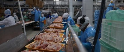 BESDBİR: Türkiye’de beyaz et fiyatları Avrupa ve ABD’den ucuz