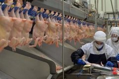 Beyaz et sektöründe 13 firmaya 3,7 milyar TL rekabet cezası