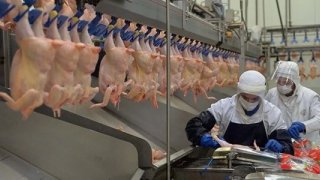Beyaz et sektöründe 13 firmaya 3,7 milyar TL rekabet cezası