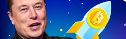 Bitcoin 40.500 bin doları aştı, Musk Twitter'ı aldıktan sonra Dogecoin (DOGE) pompalandı