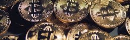 Bitcoin'de rekor artış 2019'da yinelenmeyebilir