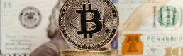 Bitcoin'i 100 bin dolar yolculuğunda destekleyen gelişmeler neler oldu?