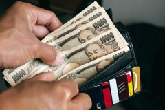 BN: Japon yatırımcılar yeniden Türk lirasına yöneldi