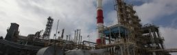 Brent petrolün varili 30,01 dolar