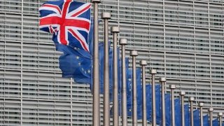 Brexit oylaması için son gün 21 Ocak