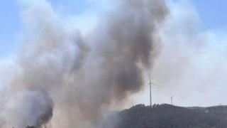 Çanakkale'de yine orman yangını çıktı: Kazdağları tehdit altında