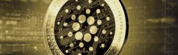 Cardano en çok gelişim gösteren kripto para birimi oldu