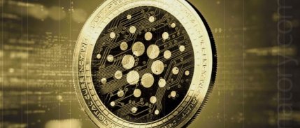 Cardano en çok gelişim gösteren kripto para birimi oldu