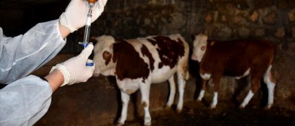 Çiftçiler Birliği’nden şap mağduru üreticiye destek talebi